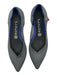 Rothy's Shoe Size 9.5 Gray & Blue Recycled Plastic Pointed Toe Ballet Flats Gray & Blue / 9.5