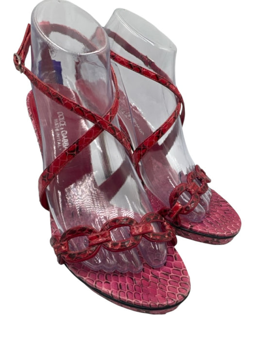 Dolce & Gabbana Shoe Size 38.5 Red & Black Leather Upper Snake Print Sandals Red & Black / 38.5