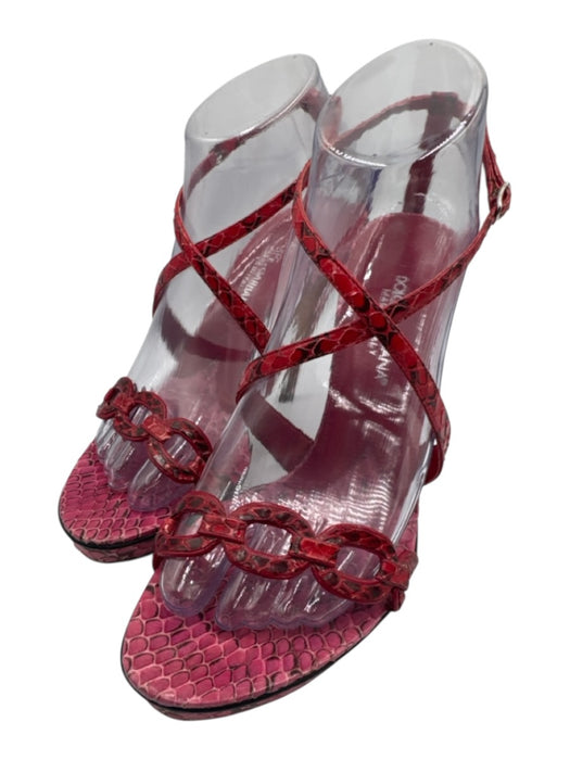 Dolce & Gabbana Shoe Size 38.5 Red & Black Leather Upper Snake Print Sandals Red & Black / 38.5