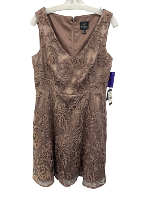 Adrianna Papell Size M / 10 Taupe Purple Nylon & Cotton Lace Overlay Dress Taupe Purple / M / 10