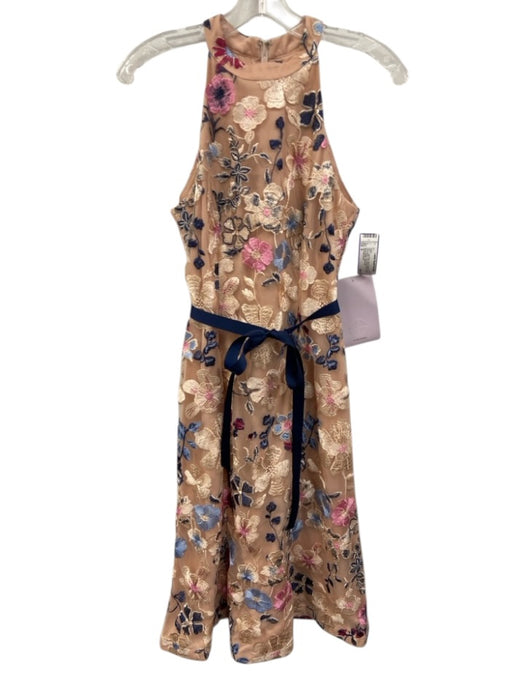 JS Collections Size 8 Light Pink, Blue & Multi Polyester Sleeveless Midi Dress Light Pink, Blue & Multi / 8