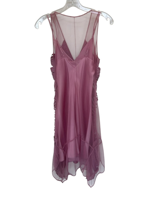 Sachin & Babi Size 2 Mauve Silk Sleeveless Mesh Detail Slip Inc Dress Mauve / 2