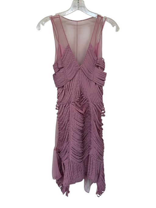 Sachin & Babi Size 2 Mauve Silk Sleeveless Mesh Detail Slip Inc Dress Mauve / 2