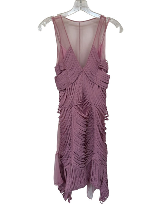 Sachin & Babi Size 2 Mauve Silk Sleeveless Mesh Detail Slip Inc Dress Mauve / 2
