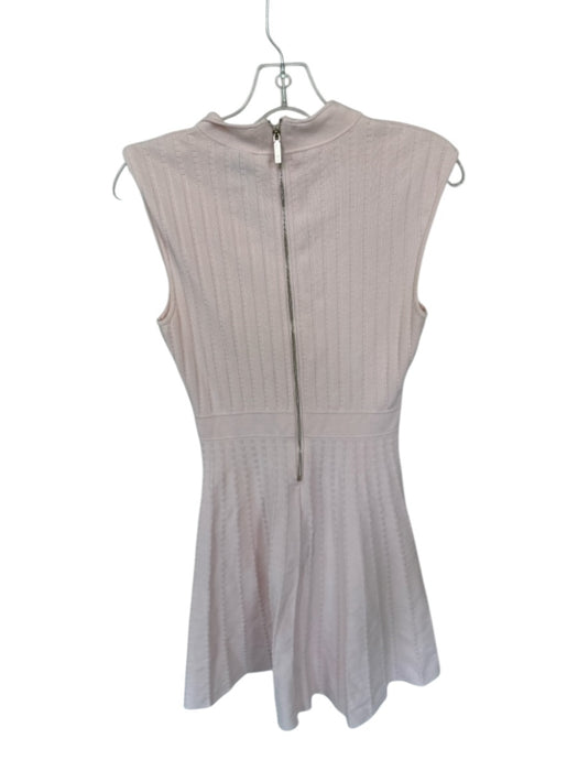 Ted Baker Size 2/M Baby Pink Viscose Blend Cap Sleeve Knit Back Zip Midi Dress Baby Pink / 2/M