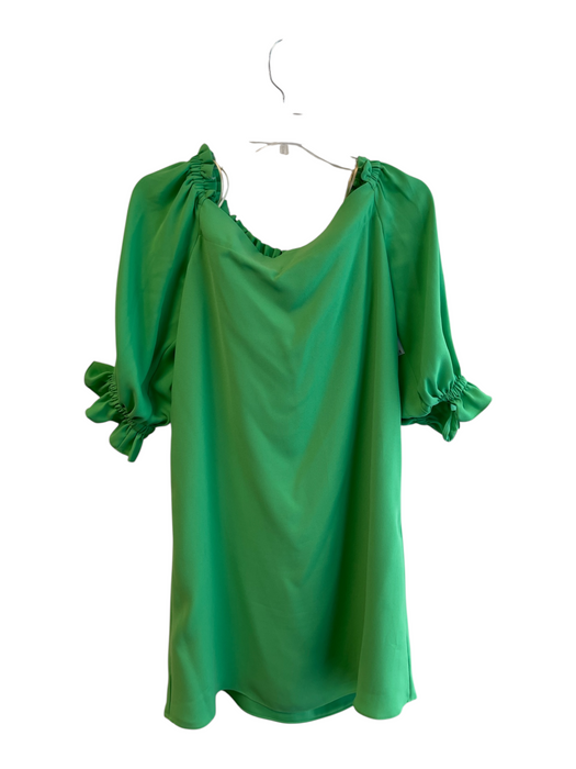Trina Turk Size Small Green Polyester Blend 3/4 Sleeve Ruffle Detail Dress Green / Small