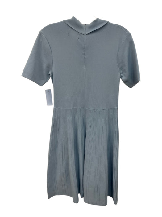 Alexia Admor Size S Light Blue Viscose Blend Ribbed Knit Short Sleeve Dress Light Blue / S