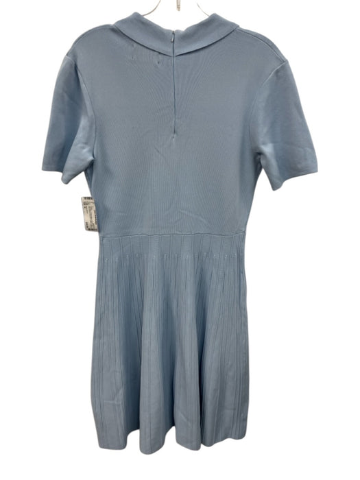 Alexia Admor Size M Light Blue Viscose Blend Ribbed Knit Short Sleeve Dress Light Blue / M