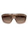 Dior Rose Gold Acetate Translucent Logo Gradient Shield Sunglasses Rose Gold