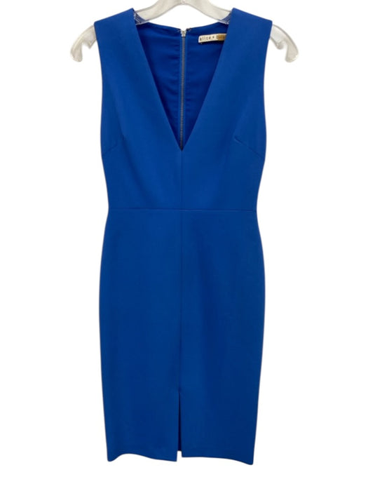 Alice + Olivia Size 0 Blue Acetate Blend Sleeveless V Neck Paneled Dress Blue / 0