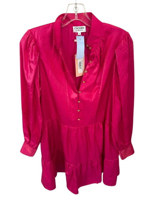 Crosby Size XS Magenta Rayon Blend Long Balloon Sleeve Iridescent Dress Magenta / XS