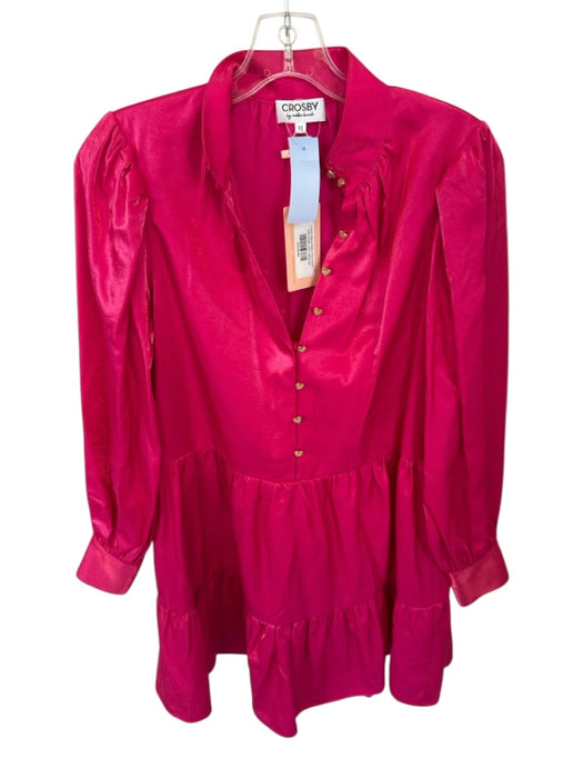 Crosby Size XS Magenta Rayon Blend Long Balloon Sleeve Iridescent Dress Magenta / XS