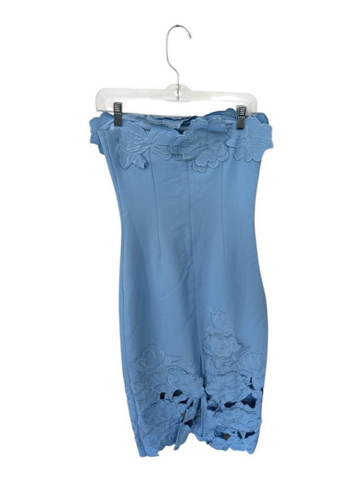 Miss Rosier Size M Baby Blue Terylene Embroidered Flowers Back Zip Midi Gown Baby Blue / M