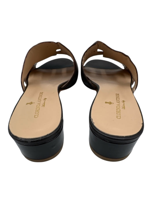 Clorinda Antinori Shoe Size 38 Dark Brown Leather open toe Buckle Mule Sandals Dark Brown / 38