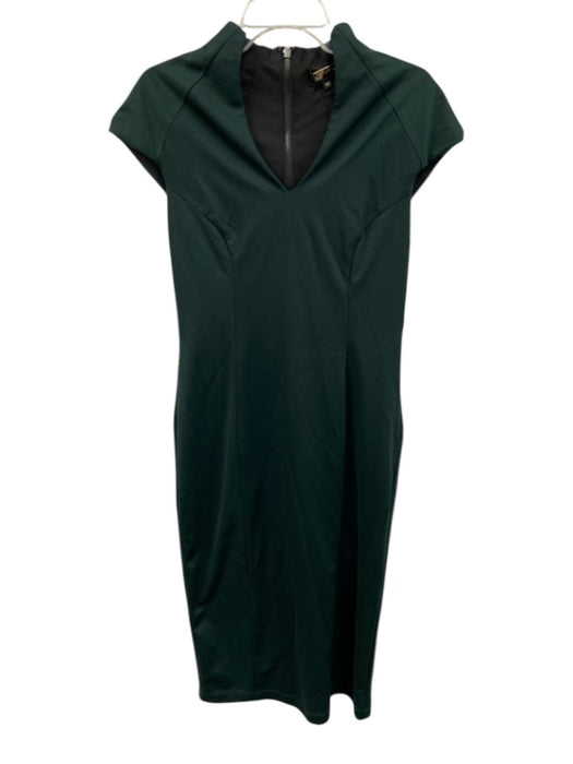 Alexia Admor Size M Dark Green Poly Blend Zip Back V Neck Midi Dress Dark Green / M