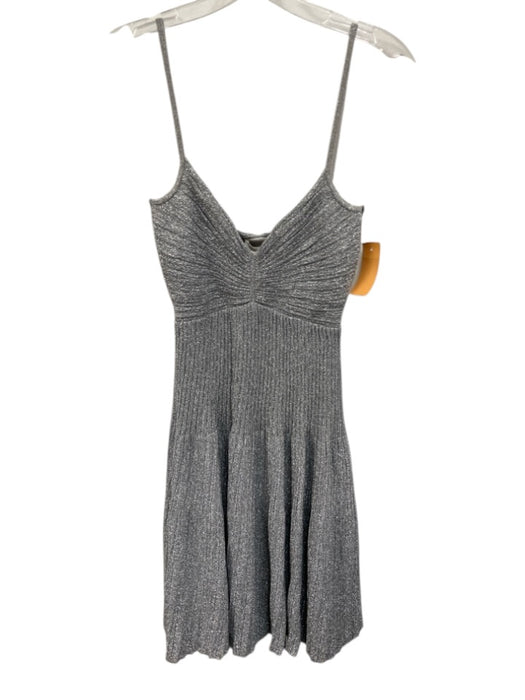 A.L.C. Size XS Silver Nylon Blend Spaghetti Strap Pleated Sleeveless Dress Silver / XS