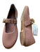 Rothy's Shoe Size 8 Mauve Recycled Plastic Buckle Gold Hardware Mary Jane Flats Mauve / 8