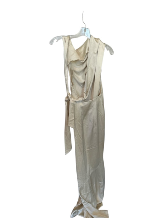 Significant Other Size 2 Champagne One Shoulder Pleat Detail Low Back Gown Champagne / 2