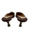 Manolo Blahnik Shoe Size 36 Brown & Beige Ponyhair & Leather Animal Print Pumps Brown & Beige / 36