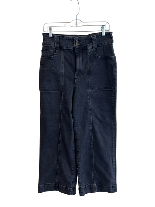 Pilcro Size 31 Grey Cotton Blend High Rise Zip Fly 5 Pocket Wide Leg Jeans Grey / 31
