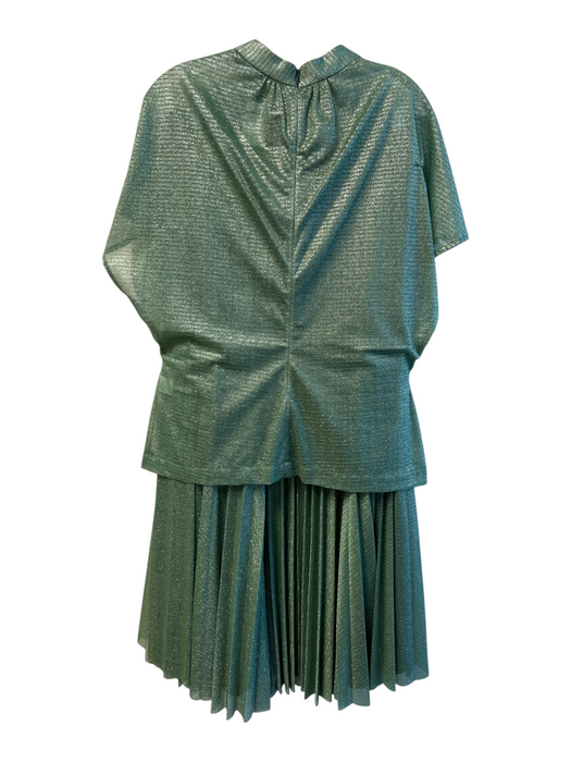 Lela Rose Size 12 Green Nylon High Rise Side Zip 2 Piece Semi Sheer Skirt Set Green / 12