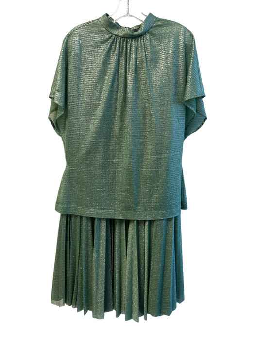 Lela Rose Size 12 Green Nylon High Rise Side Zip 2 Piece Semi Sheer Skirt Set Green / 12