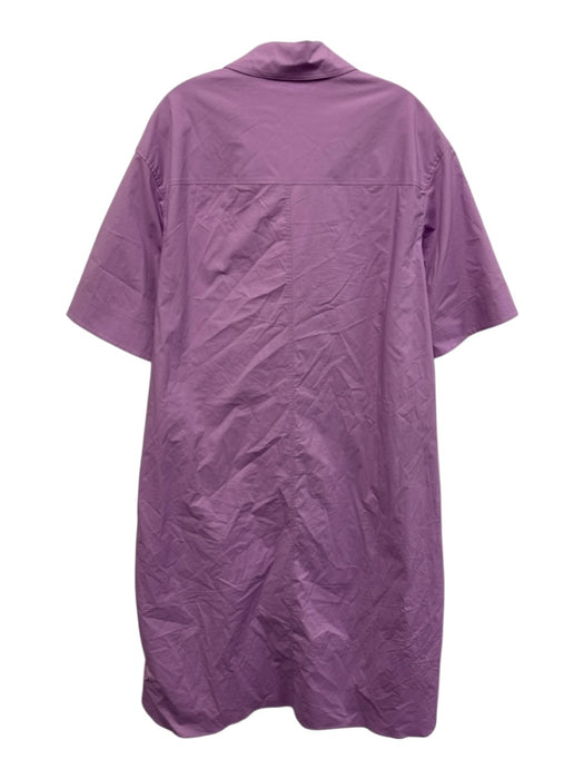 COS Size 4 Light Purple Cotton Shirt Dress Button Down Midi Short Sleeve Dress Light Purple / 4