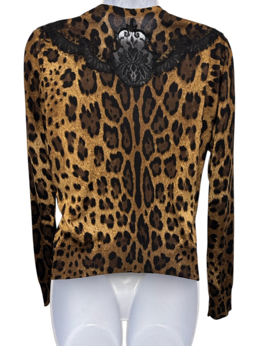 Dolce & Gabbana Size 42 Brown, Black, Beige Cashmere Blend Leopard Sweater Set Brown, Black, Beige / 42