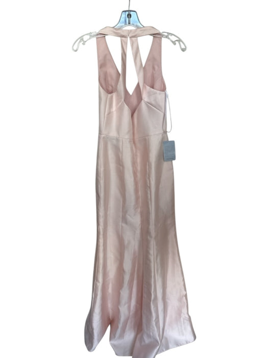 Alfred Sung Size 4 Pale Pink Polyester V Neck Sleeveless Side Slit Gown Pale Pink / 4