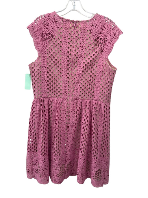 Shoshanna Size 12 Pink & Beige Polyester Cut Outs Embroidered Overlay Dress Pink & Beige / 12