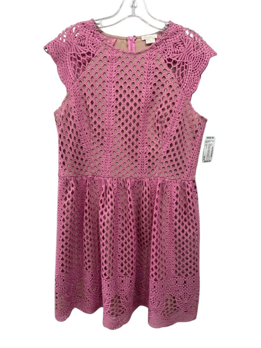 Shoshanna Size 12 Pink & Beige Polyester Cut Outs Embroidered Overlay Dress Pink & Beige / 12