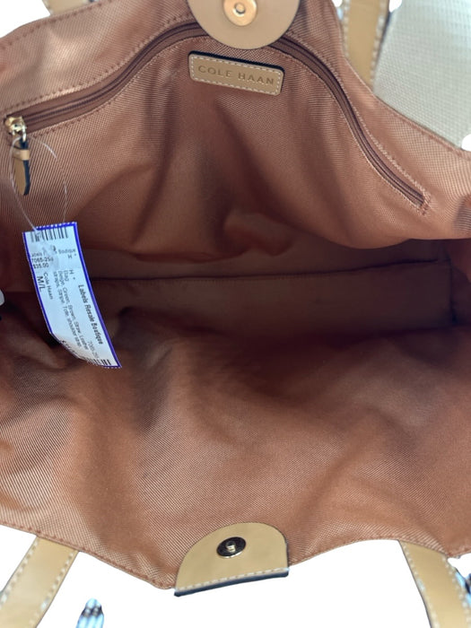 Cole Haan Beige, Green, Brown Straw Leather straps Stripe Tote Bag Beige, Green, Brown / M/L