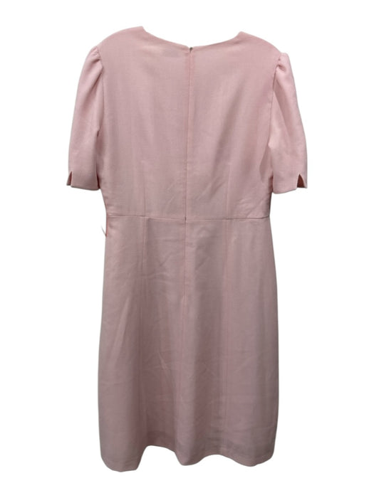 Beulah Size S/M Light Pink Wool Back Zip Tie Detail Bust Darts Dress Light Pink / S/M