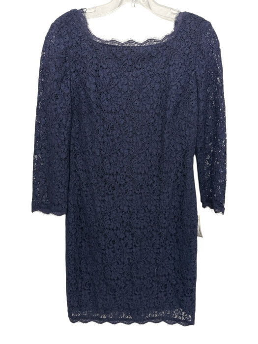 Adrianna Papell Size 8P Navy Viscose Blend Lace Overlay 3/4 Sleeve Dress Navy / 8P
