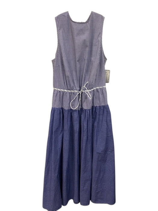 J. Crew Size 6 Blue & White Cotton Blend Gingham Sleeveless Tie Detail Dress Blue & White / 6