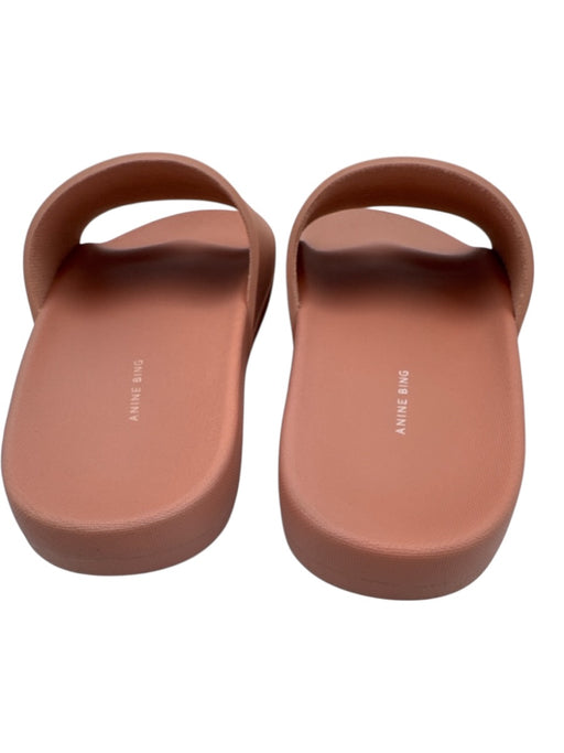 Anine Bing Shoe Size 37 Pink Rubber Upper Logo Slide Mule Flat Sandals Pink / 37