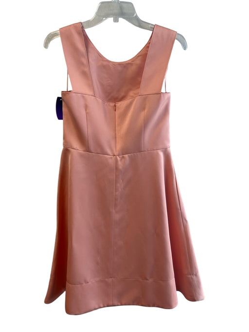 Escada Size 36 Rose No Fabric Tag Sleeveless lined Back Zip Round Neck Dress Rose / 36