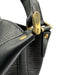 Louis Vuitton Black Leather Grained Gold Hardware Shoulder Adjustable Strap Bag Black / Small