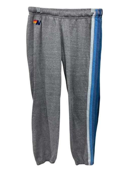 Aviator Nation Size M Gray & Blue Cotton Blend Heathered Racing Stripe Pants Gray & Blue / M