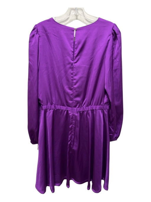 Milly Size 10 Purple Polyester Long Sleeve Back Zip Dress Purple / 10