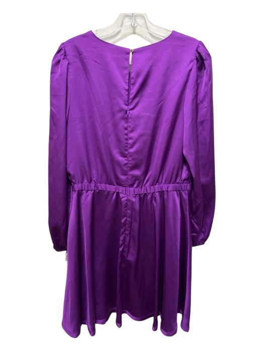 Milly Size 10 Purple Polyester Long Sleeve Back Zip Dress Purple / 10
