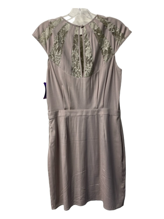 Aijek Size 3 Taupe Silk Lace Panels Keyhole Back Midi Cap Sleeve Dress Taupe / 3