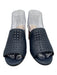 Cole Haan Shoe Size 8 Blue Leather Open Weave Stacked Heel Round Toe Sandals Blue / 8