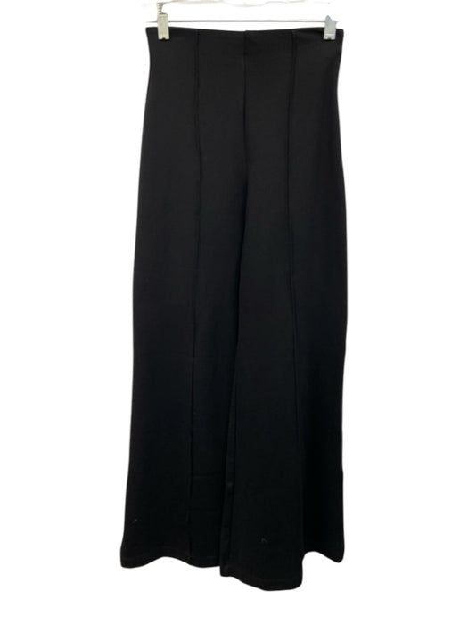 Quince Size XS Black Rayon & Nylon Side Zip Pleat Detail Pull On Wide Leg Pants Black / XS