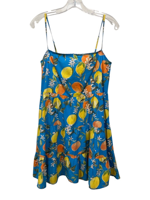 Olivia James the Label Size M Blue, Orange, Yellow Cotton Fruit Dress Blue, Orange, Yellow / M