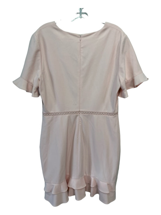 Shoshanna Size 12 Pale Pink Polyester Blend Short Ruffle Sleeve Ruffle Dress Pale Pink / 12