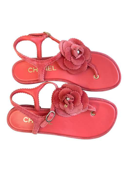 Chanel Shoe Size 39 Pink Velvet & Leather Thong Strap Flower Detail Flats Shoes Pink / 39