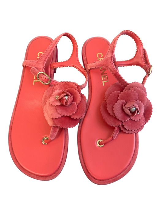 Chanel Shoe Size 39 Pink Velvet & Leather Thong Strap Flower Detail Flats Shoes Pink / 39