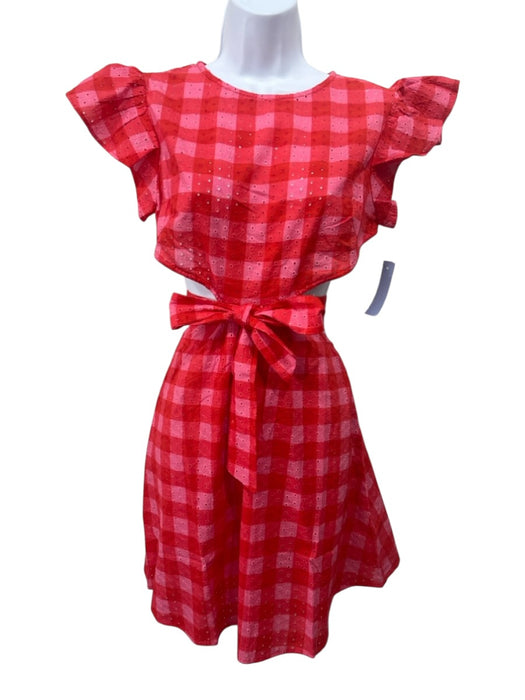 Maia Bergman Size XS Pink & Red Cotton Plaid Back Cut Out Ruffle sleeve Dress Pink & Red / XS