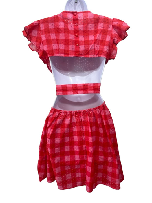 Maia Bergman Size XS Pink & Red Cotton Plaid Back Cut Out Ruffle sleeve Dress Pink & Red / XS